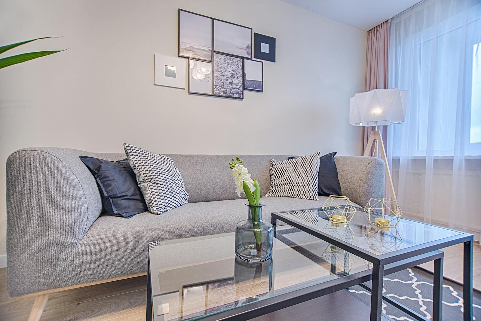 Contemporary living room featuring a gray sofa, geometric decor, and framed art.