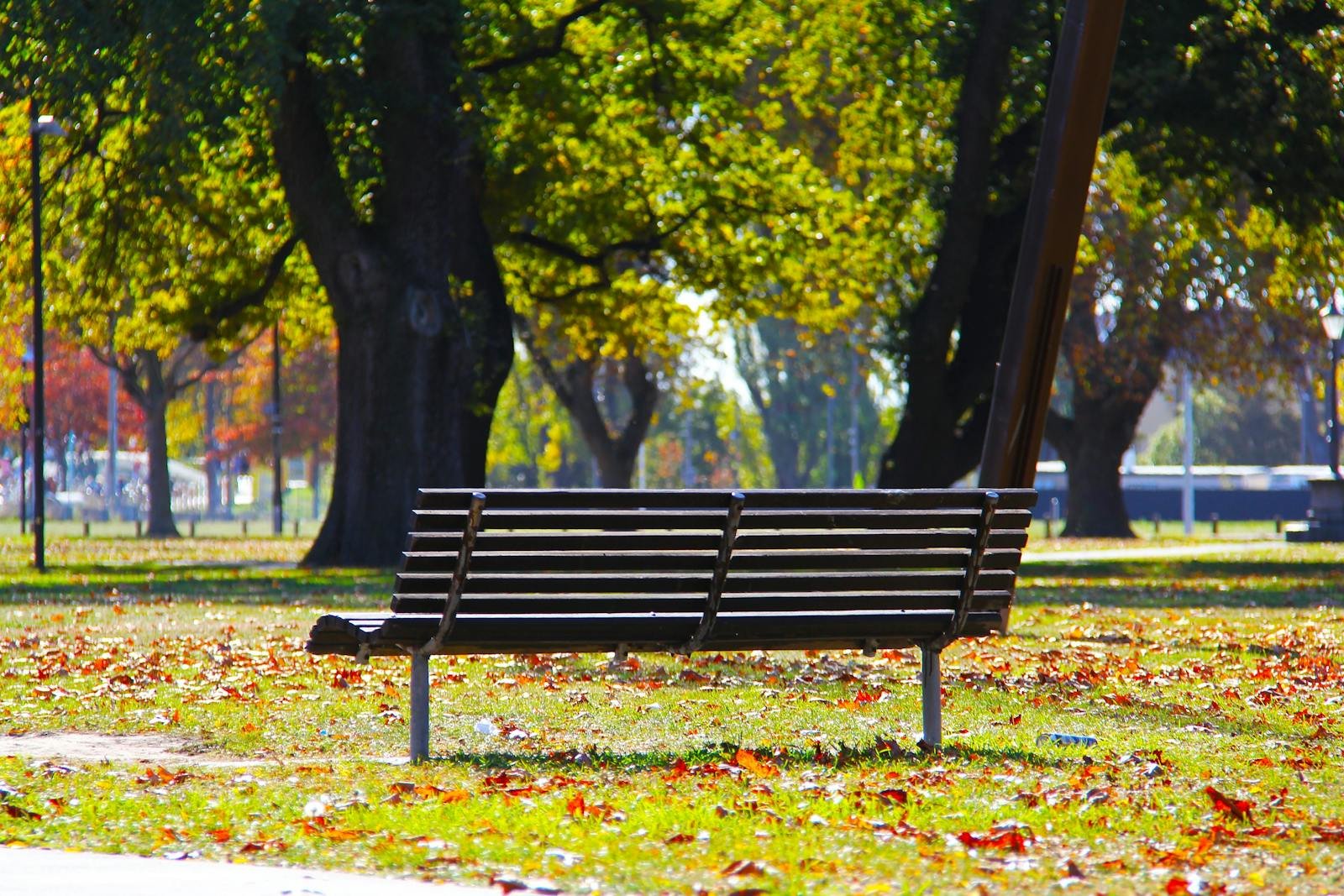 An empty wooden bench in a serene park surrounded by colorful autumn leaves and lush trees.