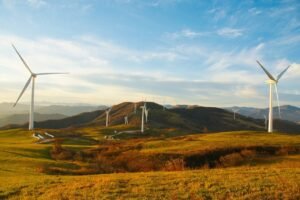 windmills, environment, nature