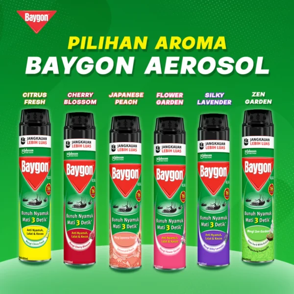Baygon Aerosol Flower Garden 400ml - Image 4