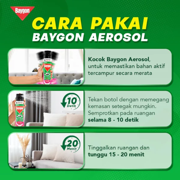 Baygon Aerosol Flower Garden 400ml - Image 6