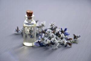 cosmetic oil, natural cosmetic, borago officinalis, cucumber herb, flowers, cosmetology, oil, the medicine, essential oils, spa, the science, essential oil, herbal cosmetics, glass bottle, medicinal plants, flower wallpaper, beautiful flowers, therapy, body care, alternative medicine, wellness, oil, essential oils, flower background, nature, essential oils, essential oils, essential oils, essential oils, spa, essential oil, essential oil